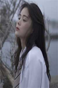 皎皎明月畅销巨作