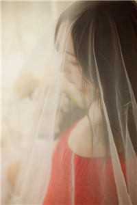 全本小说遗憾随风