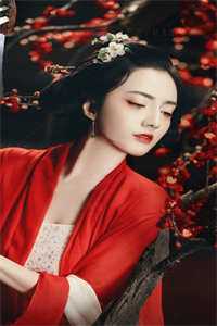 畅销小说心尖宠被毁容后，暴君疯了