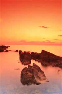 全文版离婚后，总裁夫人复仇归来