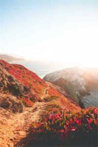 迟冬不赴春：结局+番外最新