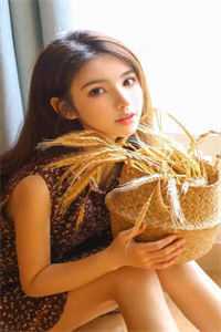 林意苏沐歌后续免费小说全局