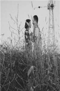 平行世界的交换生阅读