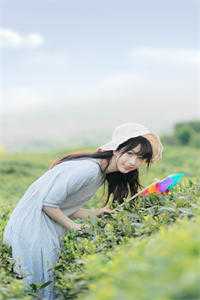 大雾尽起，爱意皆散 慕晚凉李宇全文阅读_大雾尽起，爱意皆散 慕晚凉李宇全文免费阅读精选