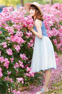 时光荏苒，你还在目录