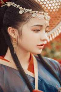 铁血元帅：大元帅全文免费