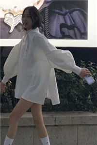 南风解我相思意:结局+番外热门