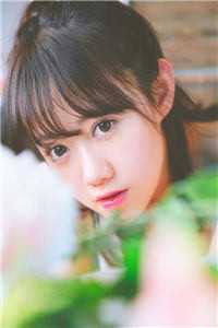 与白杨永生白杨秋风前文+后续小说叫什么名字