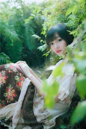 疏雨梧桐浅月朦胧纯净版：全文+后续免费完结文