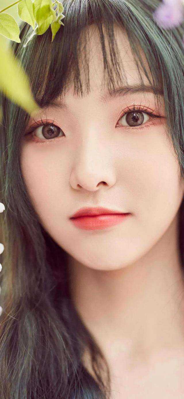 捧起星光似他：结局+番外爆款宝藏