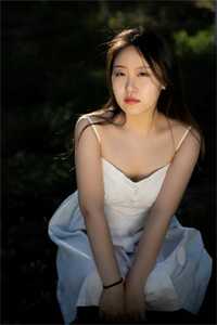 快穿大秦：我给始皇当左相最新