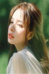 当年明月难寻:全文+后续全文下载