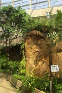 妹妹爱上红薯难民男，我拍手叫好抖音热门大结局