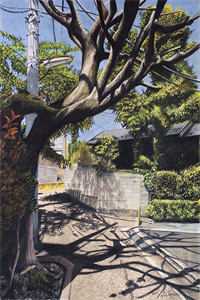 潇潇雨声迟全本