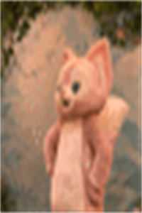 被闺蜜骗去大山后，黄鼠狼大小姐杀疯了小说