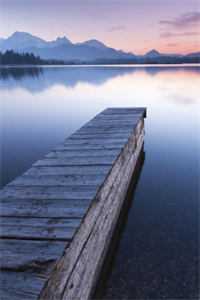 我被剔骨而死后，国运就此断绝小说