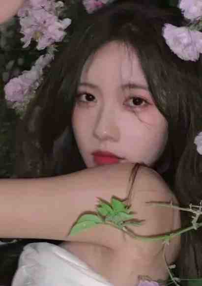 凛冬之下仍有花开后续+全文