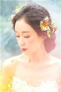 淡月微云皆是梦畅读