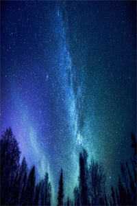 淡月微云皆是梦结局