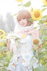 愿我如星君如月番外