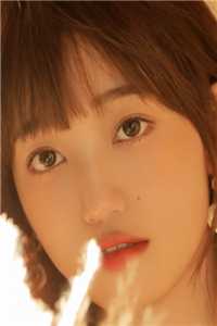 邢鹿沈慕川:风起云疏影:结局+番外邢鹿沈慕川免费阅读完整版txt小说无删减