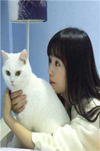 迟冬再无相思宋凛谢清羽完结版免费在线阅读