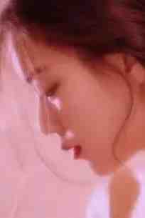 微风轻拂又见你陆沉林书意全章节在线阅读完整版txt在线阅读