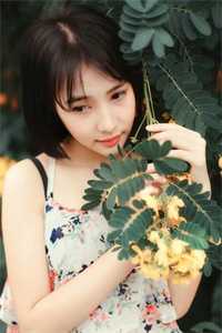 不在灯火阑珊处顾宁辰孟卓钰全章节免费在线阅读完结版免费阅读