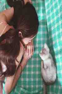 且停且忘且随风简南乔傅斯煜最新章节免费在线阅读