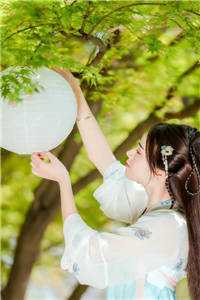 穿越：我在神雕世界当霸主郭芙杨过全本免费在线阅读