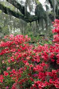 缘起月落再逢春后续+完结全文下载免费最新章节阅读全文免费阅读