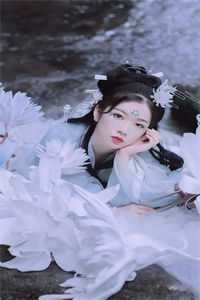 反派大佬强制爱谢宴宁安容小说在线免费阅读无广告