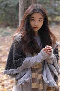 月光洒下离人巷谢诚景洛婉雪精彩小说完本小说下载