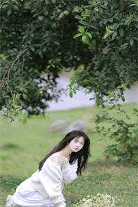 山盟仍在，锦书错寄沈怀川云舒全文免费阅读无弹窗大结局