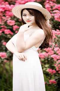 月光洒下离人巷：+结局+番外洛婉雪谢诚景全本免费在线阅读