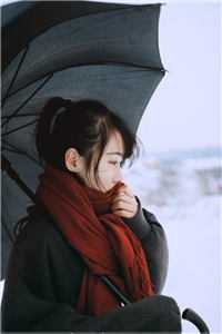 来如风雨,去似微尘沈南意傅临洲小说在线免费阅读无广告
