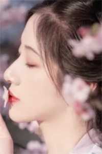 雪落不偏执陆于瑾秦子萱在线免费阅读听书