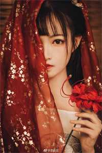 微风轻拂又见你陆沉林书意小说免费在线阅读全本在线