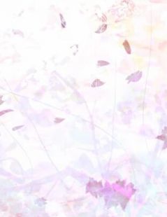 梦里寻她千百度程亦乔时和辰全文免费在线阅读完结版免费阅读