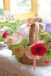 诱欲！小美人成了糙汉大佬掌心娇陆绥梁靖暄完整版免费在线阅读完结版免费阅读