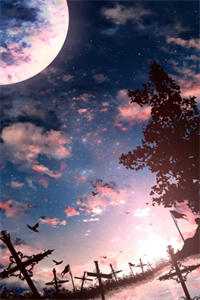 飞鸟与鱼不同路江辰苏瑾萱免费阅读完整版txt小说无删减