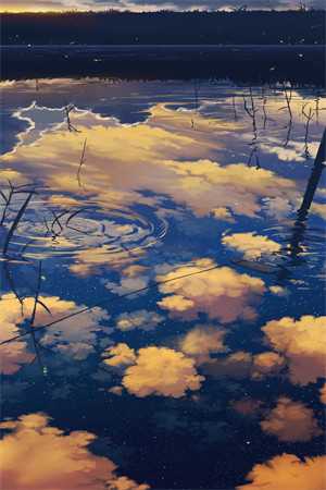 沈绾绾晏怀瑾：+后续+结局免费全本免费在线阅读