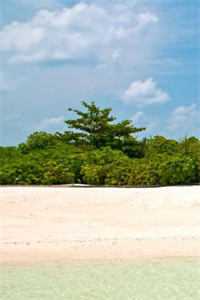 未婚夫爱上保洁小妹，寿宴上当众向我退婚于晓棠陆淮川完整版免费阅读已完结小说