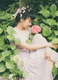 我成了别人的情妇后，前男友疯了程盛可贺郁川全集小说在线阅读完结版免费阅读