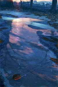 开局成神，绝美校花爱上我陆尘张紫嫣最新章节列表_笔趣阁