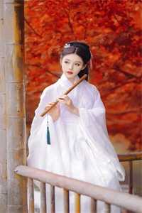 月折梨花，人不似旧年婉晴张景辉笔趣阁小说免费阅读