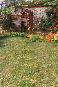 开局成神，绝美校花爱上我陆尘张紫嫣全本免费在线阅读完整版txt在线阅读