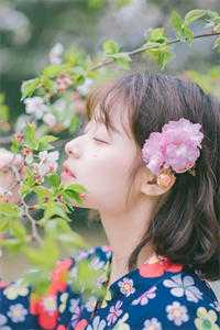 娘娘美艳动人，皇上日日娇宠傅君意郑淑宁全文免费阅读完结版阅读