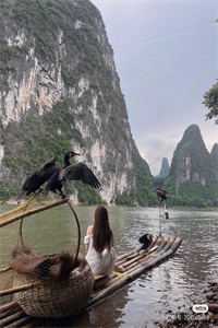 重回八零，首富丈夫追求真爱后却悔疯了陈择青梅已完结小说最新章节免费在线阅读