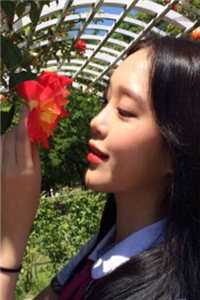 溪流入海，却眷青山顾青山林溪全文免费大结局阅读全集在线阅读小说